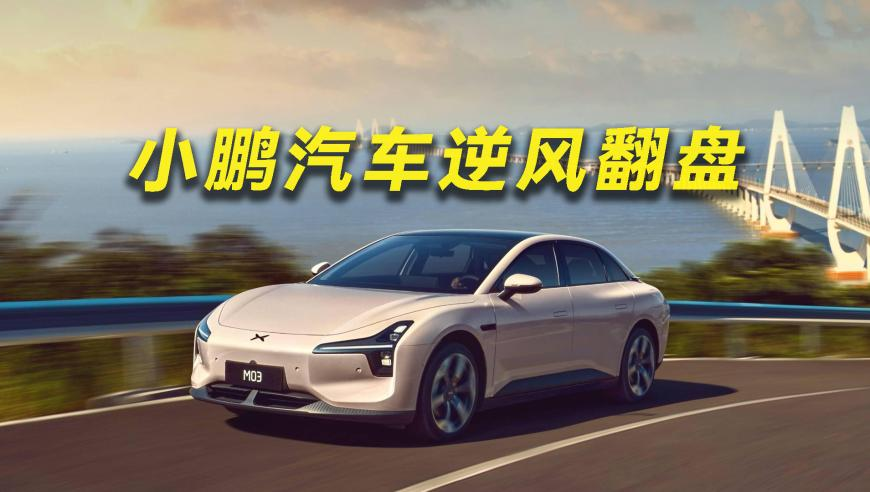 香港管家婆2025新澳正版资料,男子拍下自家蒙古獒盖雪而睡,典故解疑_终极版V12.38