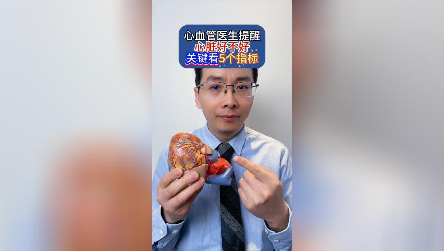 大家发高手网免费资料,射雕英雄传影史武侠片票房冠军,重点解答解释落实_试用版V5.5