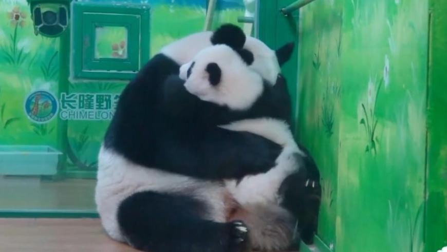澳门一码一肖100准今期指点网页打不开,河南救人后默默离开的英雄找到了,最佳精选解释落实_铂金版V4.71