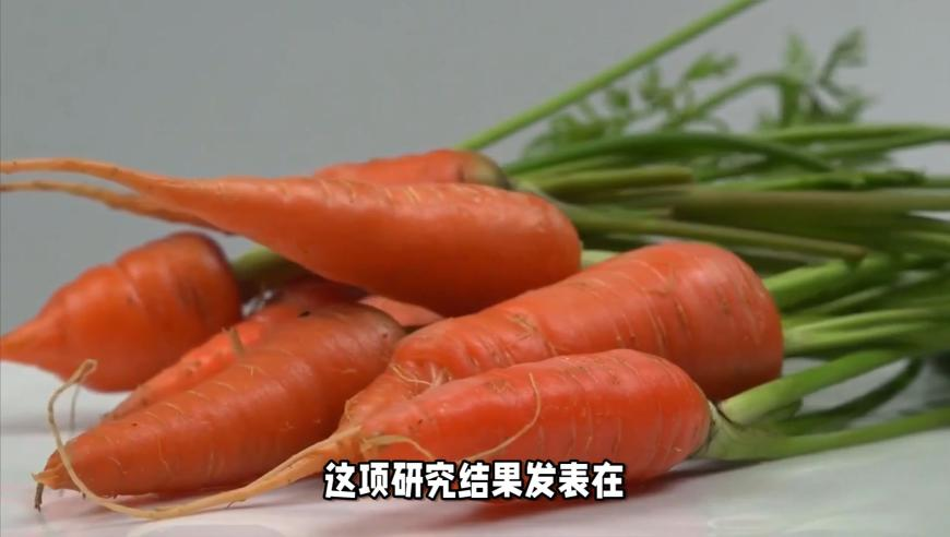 香六港彩开奖资料大全2025,母婴中心用污水给宝宝洗澡,广泛的解释落实方法分析_手游版V13.47
