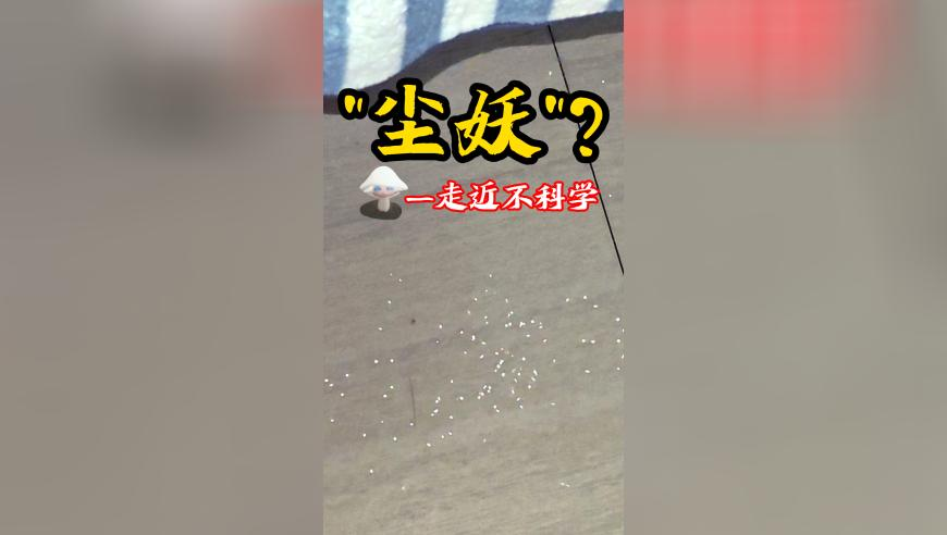 二四六香港资样期期准千附三险阻,金珍妮新歌like JENNIE,广泛的解释落实支持计划_基础版V9.28